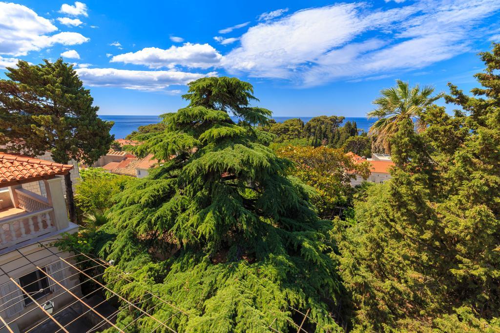 הוילה דוברובניק Hedera Estate, House Hedera V מראה חיצוני תמונה